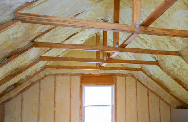 Best Eco-Friendly Insulation in Ecru, MS