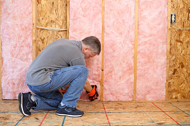 Types of Insulation We Offer in Ecru, MS