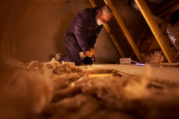 Best Geographic-Specific Insulation Services in Ecru, MS